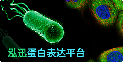 密碼子優(yōu)化升級版，讓目標蛋白表達更顯著
