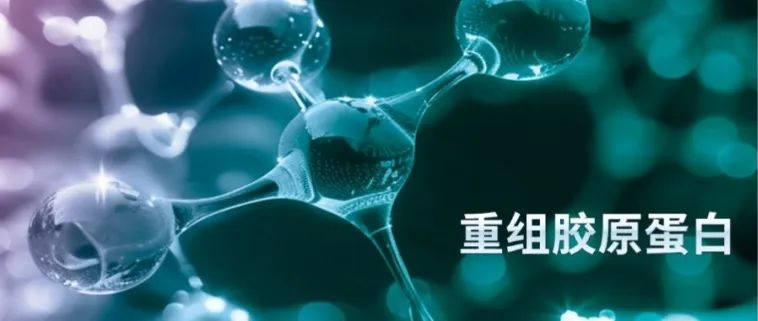 從實驗室“出走”，勇闖江湖