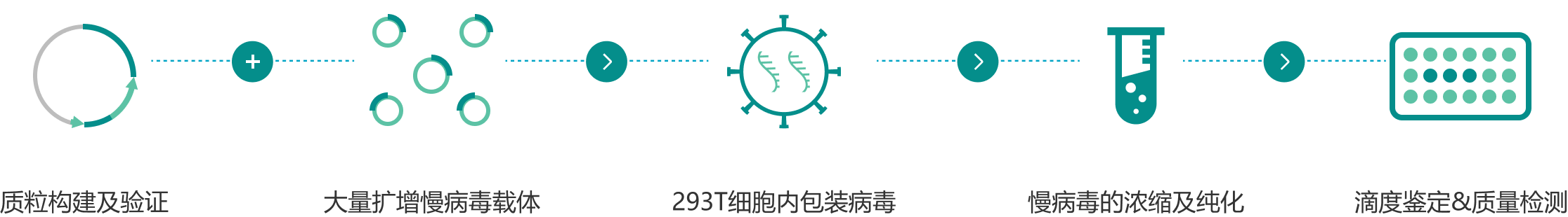 腺相關(guān)病毒包裝_流程圖